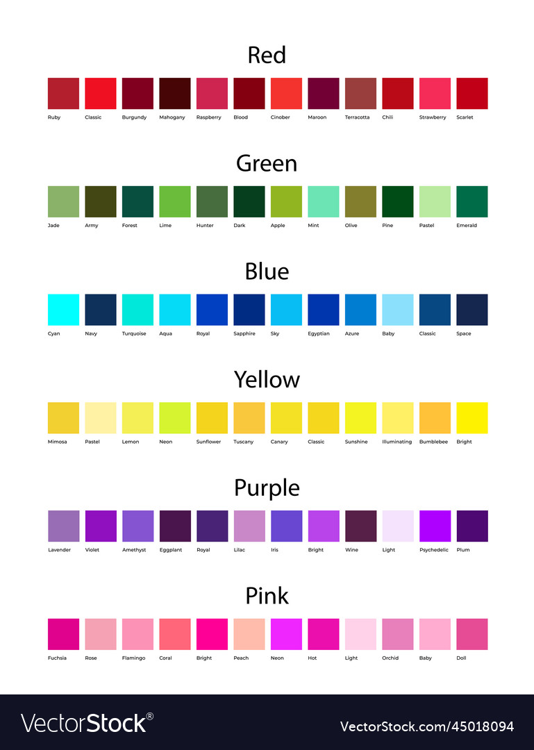 Red green blue yellow purple and pink color Vector Image