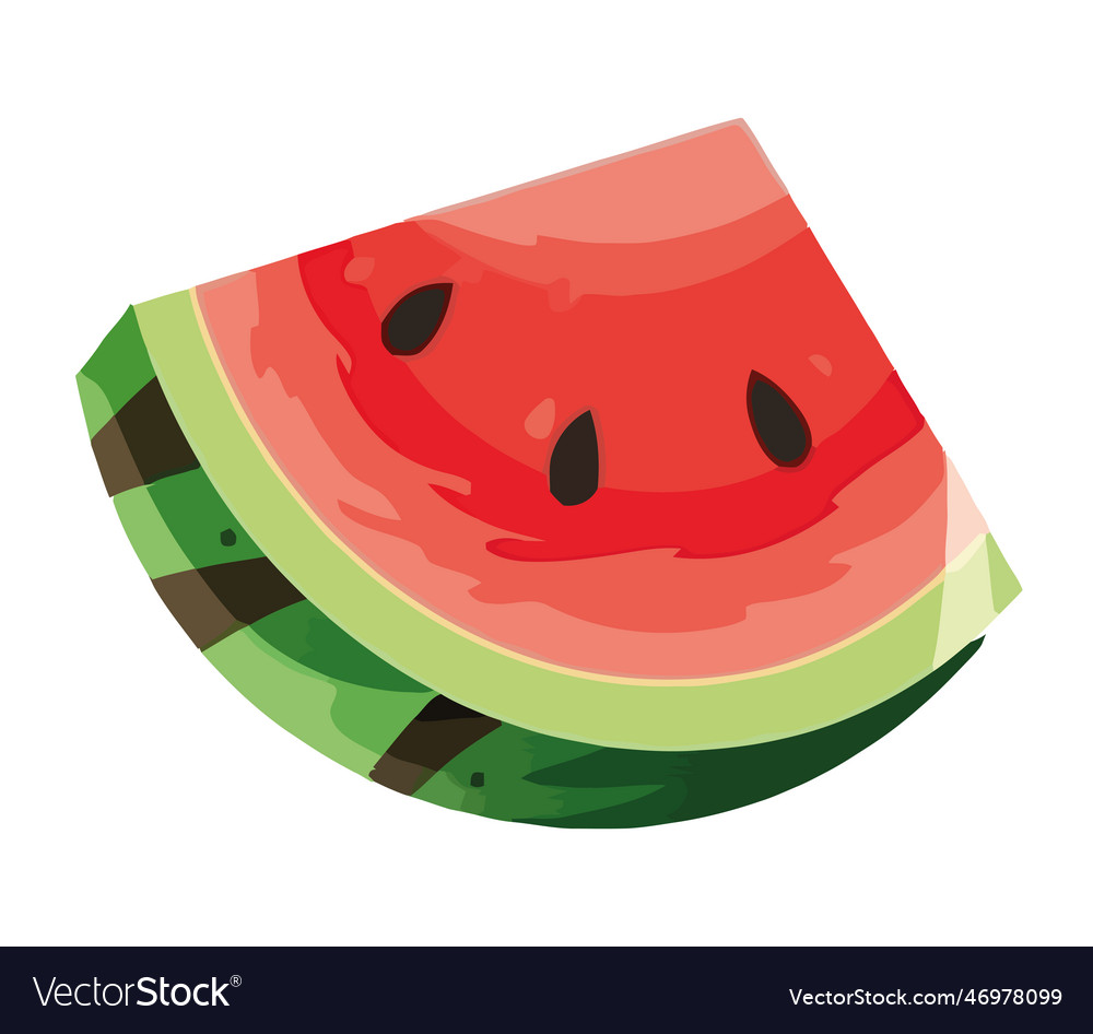 Juicy watermelon slice perfect summer refreshment Vector Image