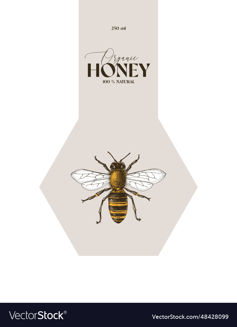 Label template with hand drawn honey bee vector image Label template with hand drawn honey bee