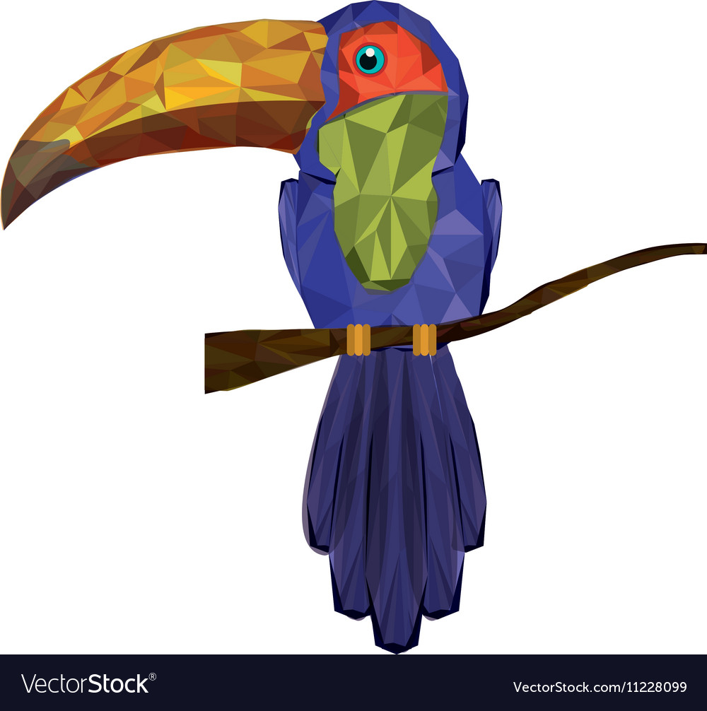 Toucan abstract design