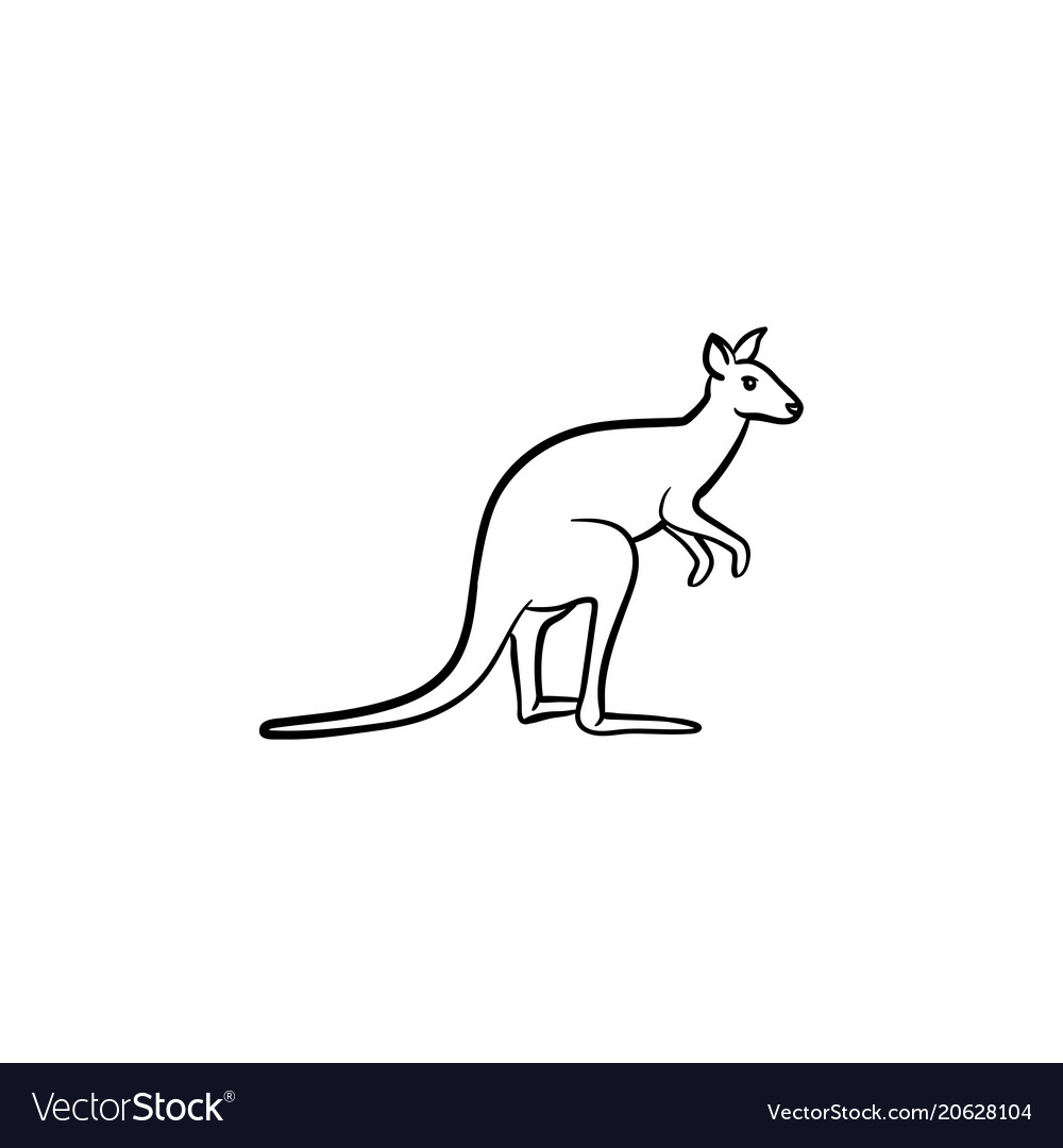 Kangaroo hand drawn sketch icon Royalty Free Vector Image