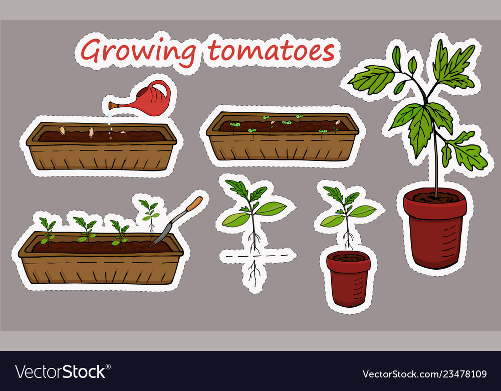 Set of stickers elements the sequence diagram
