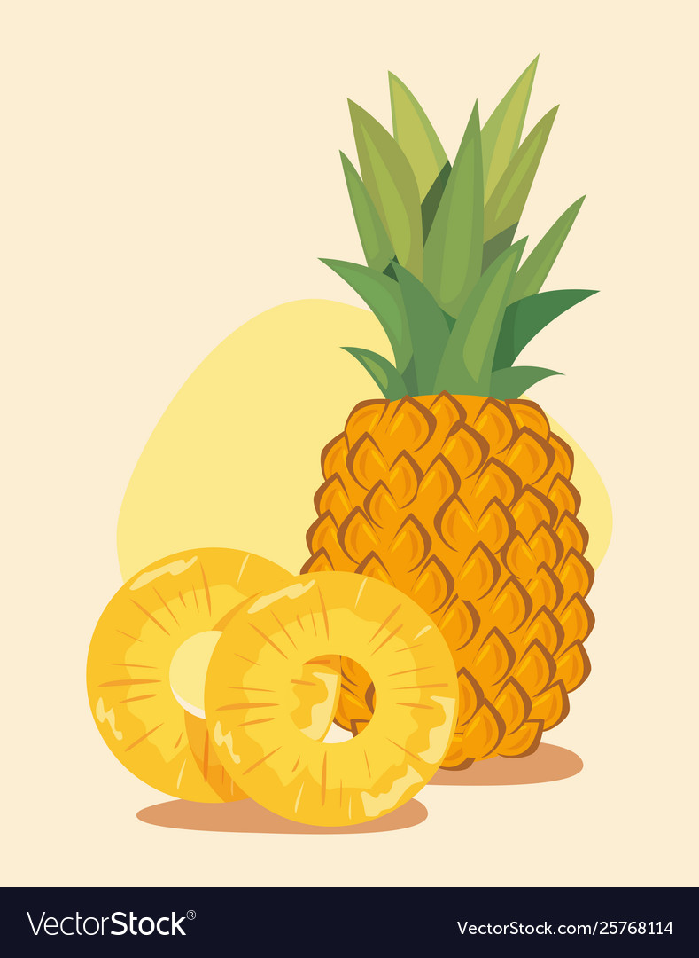 Pineapple nutrition fresh fruit Royalty Free Vector Image