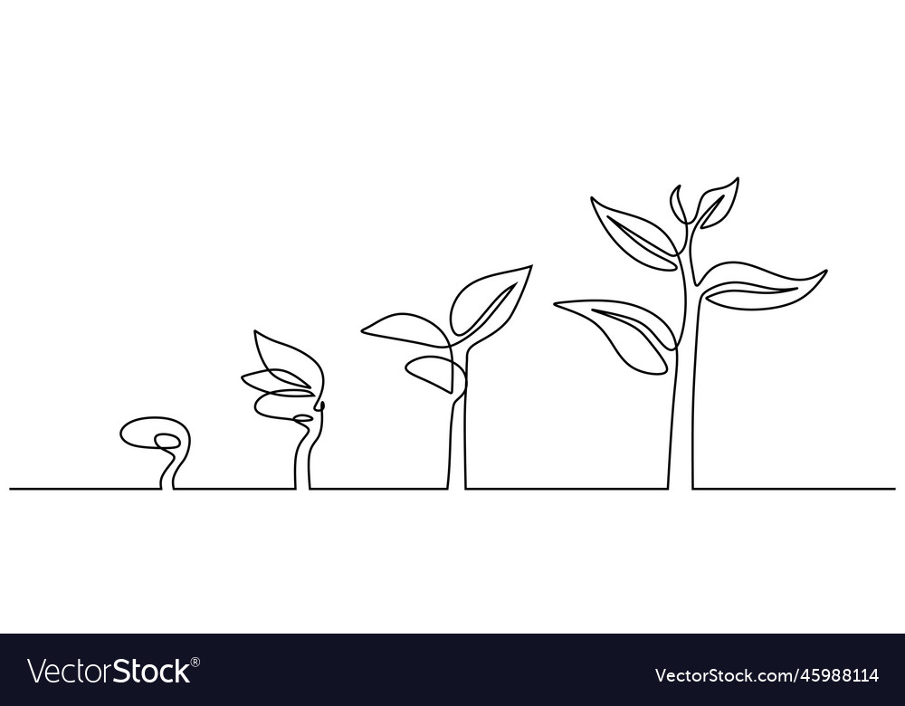 Step Tree Growth - Continuous Line