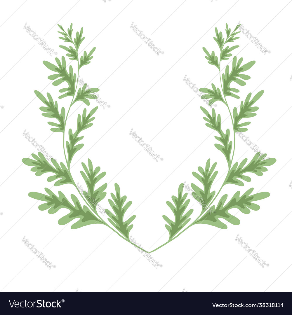 Wormwood herbaceous frame on a white background