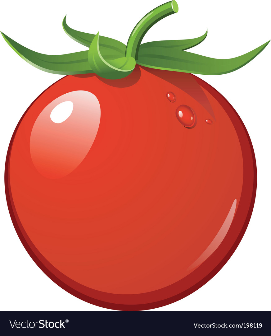 Ripe Tomato