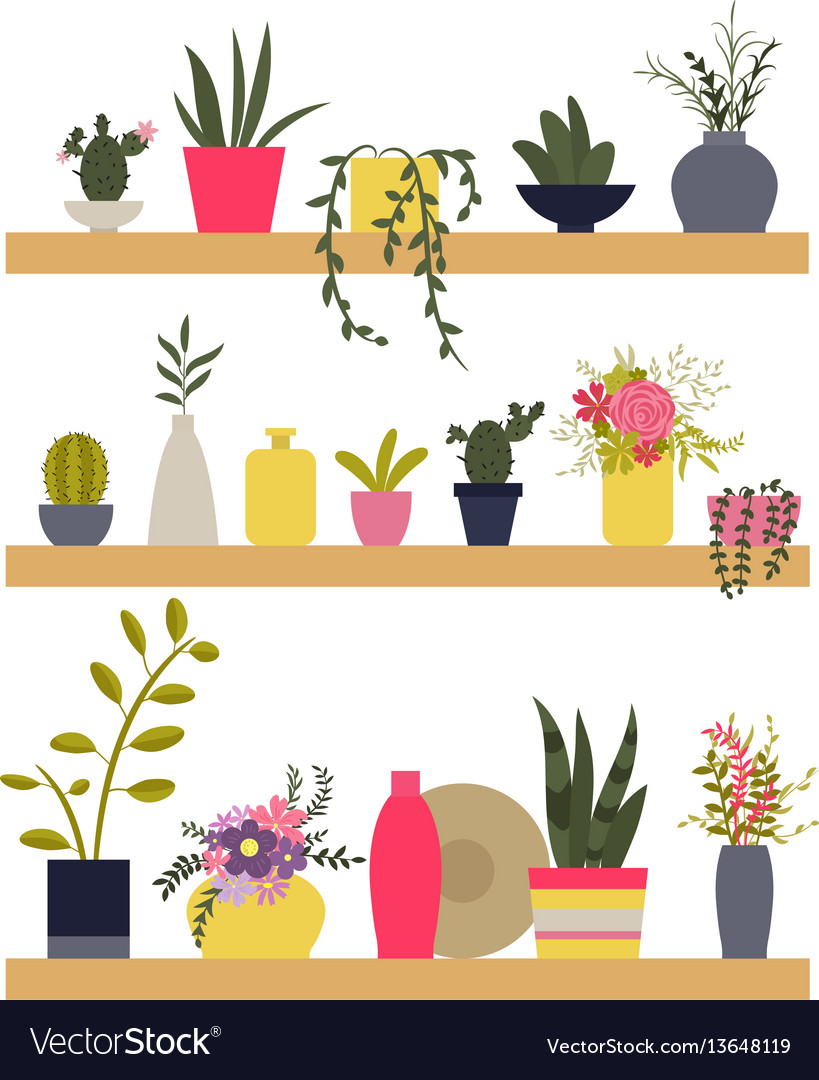 Shelves With Plants And Vases Of Flowers Vector Image