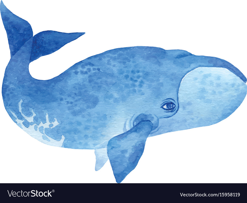 Watercolor Whale Illustration