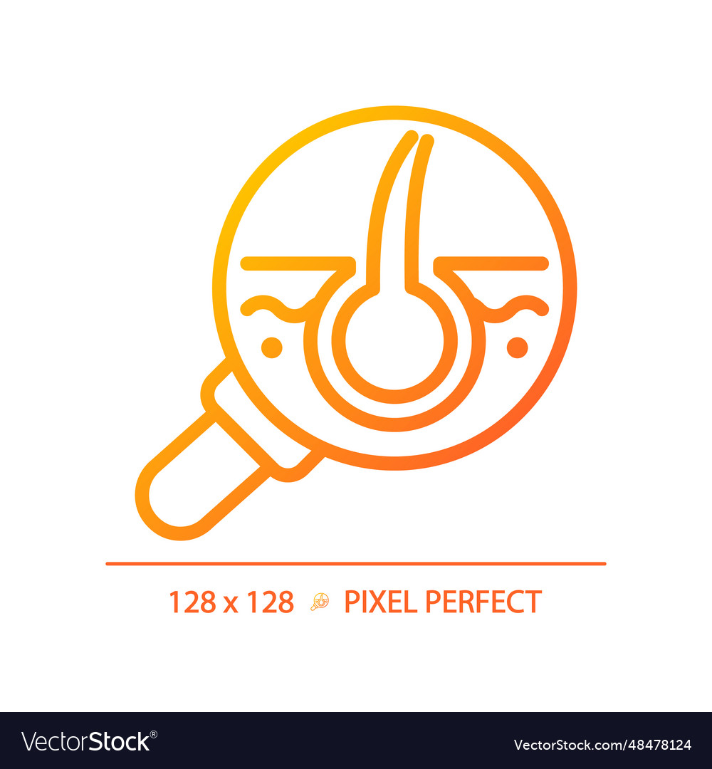 2d magnifying follicle thin linear gradient icon vector image 2d magnifying follicle thin linear gradient icon