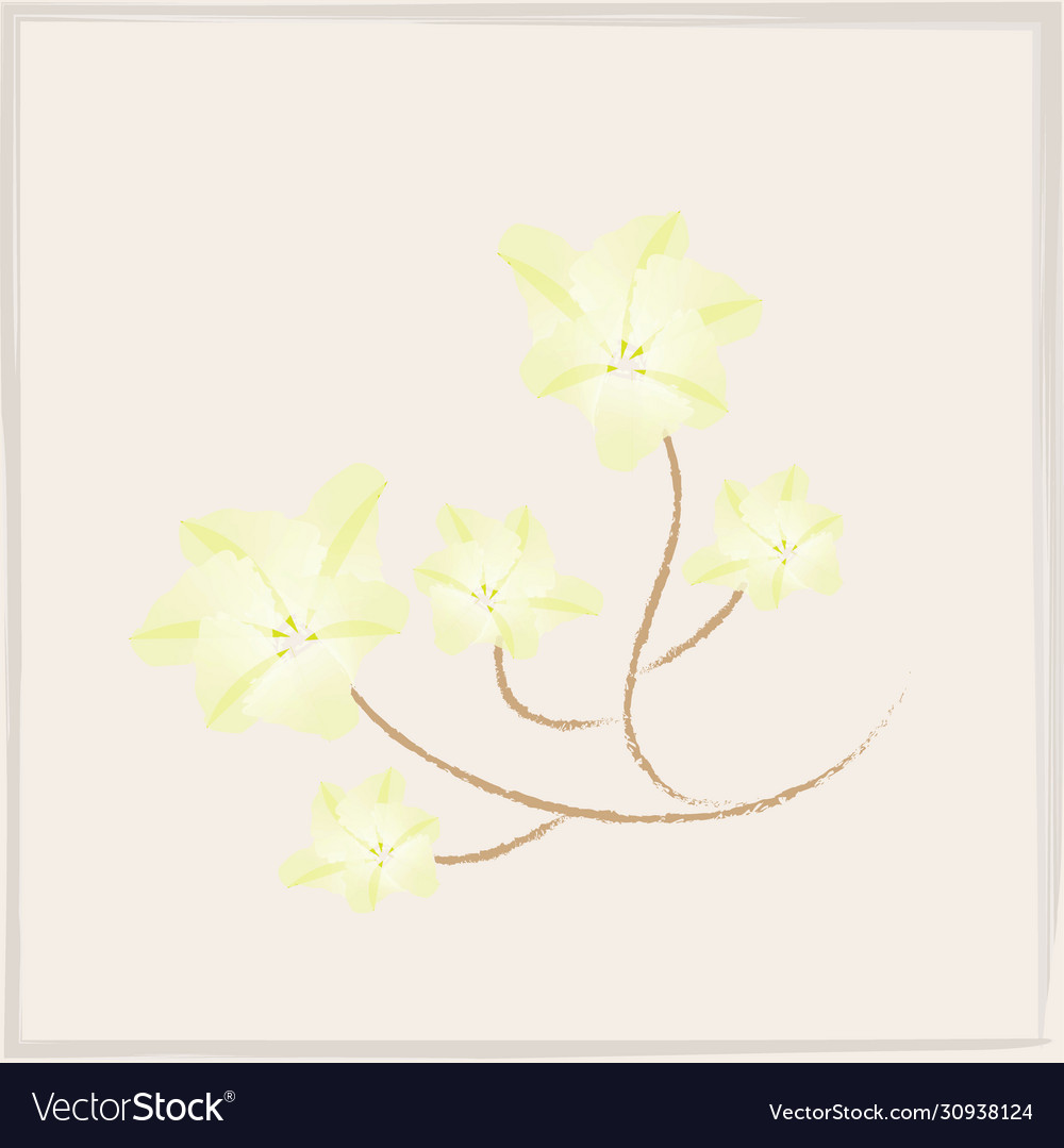 Modern abstract pattern collection