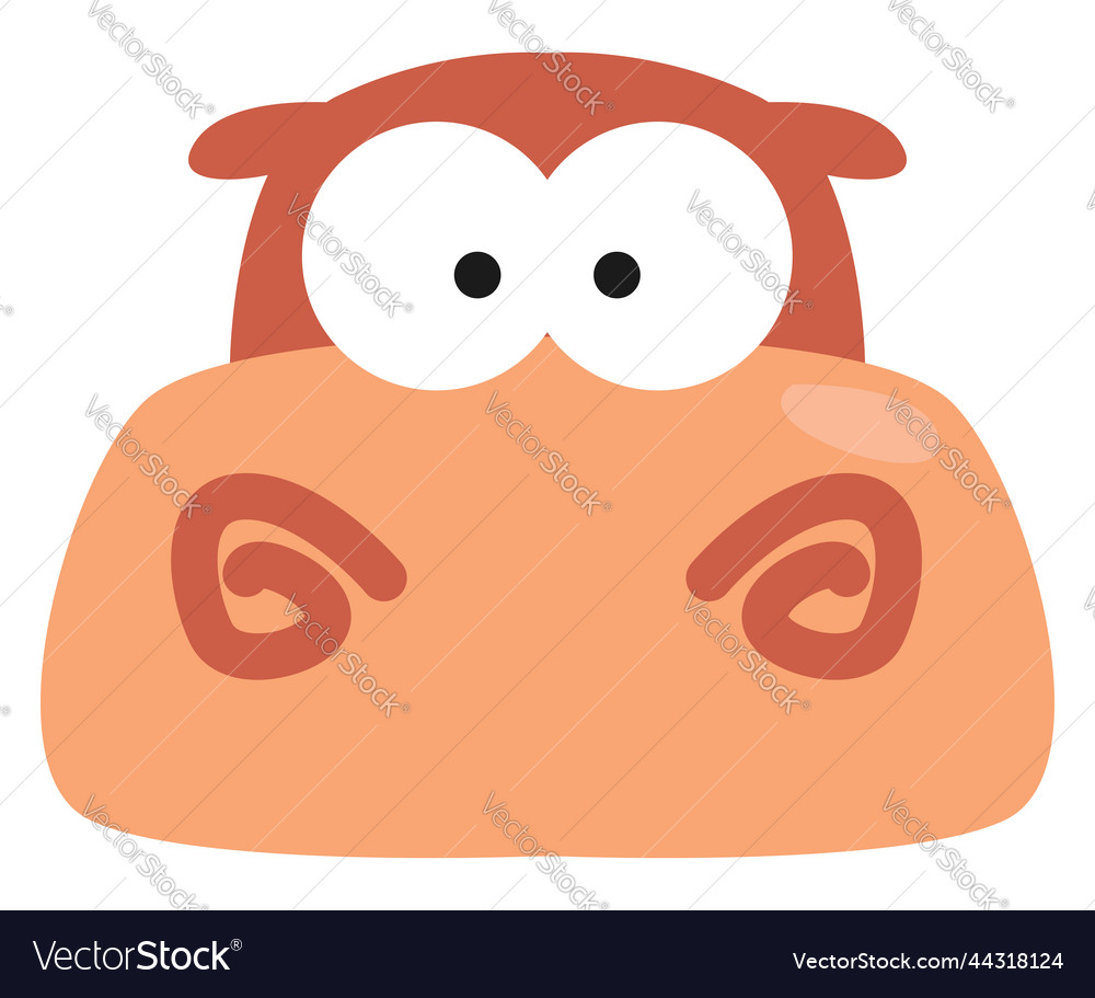 Orange hippopotamus on white background