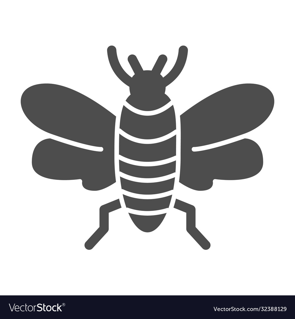 Insect solid icon insects concept bee sign