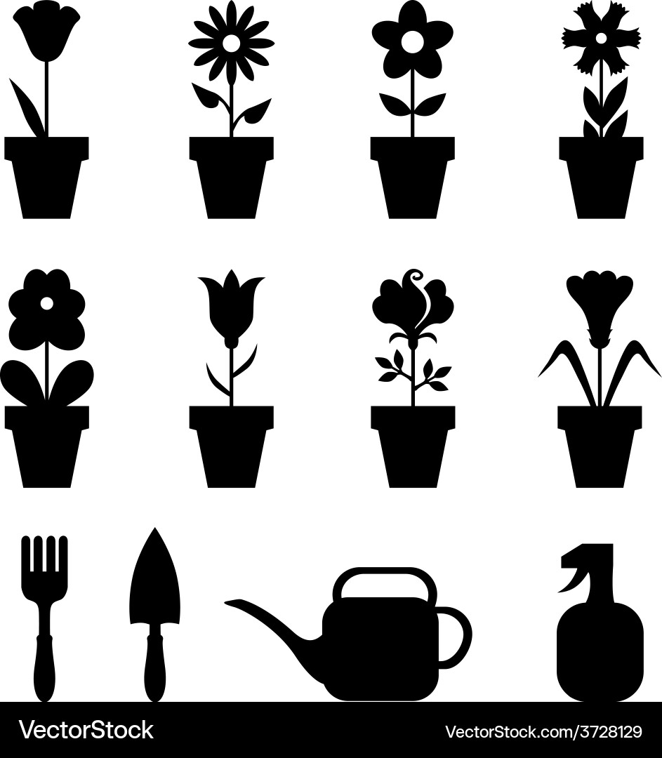 Pot flower set Royalty Free Vector Image - VectorStock