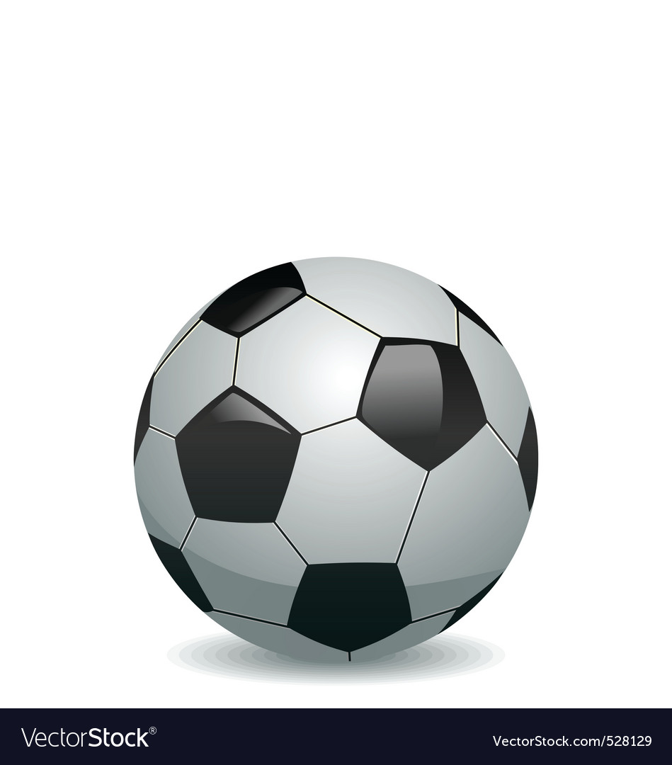 Soccer Ball Isolated on White