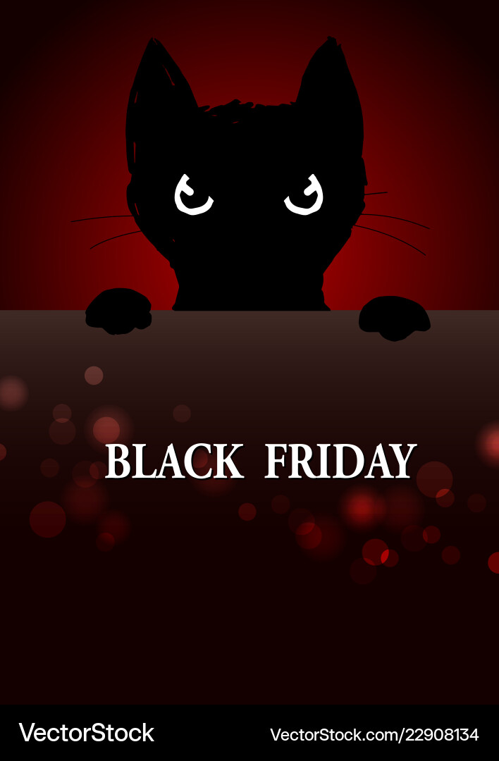 black friday cat