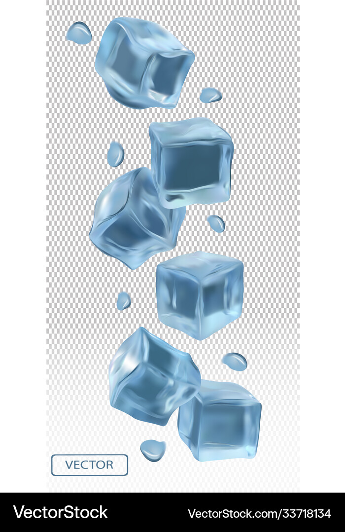 Ice cubes with water drops on transparent Vector Image