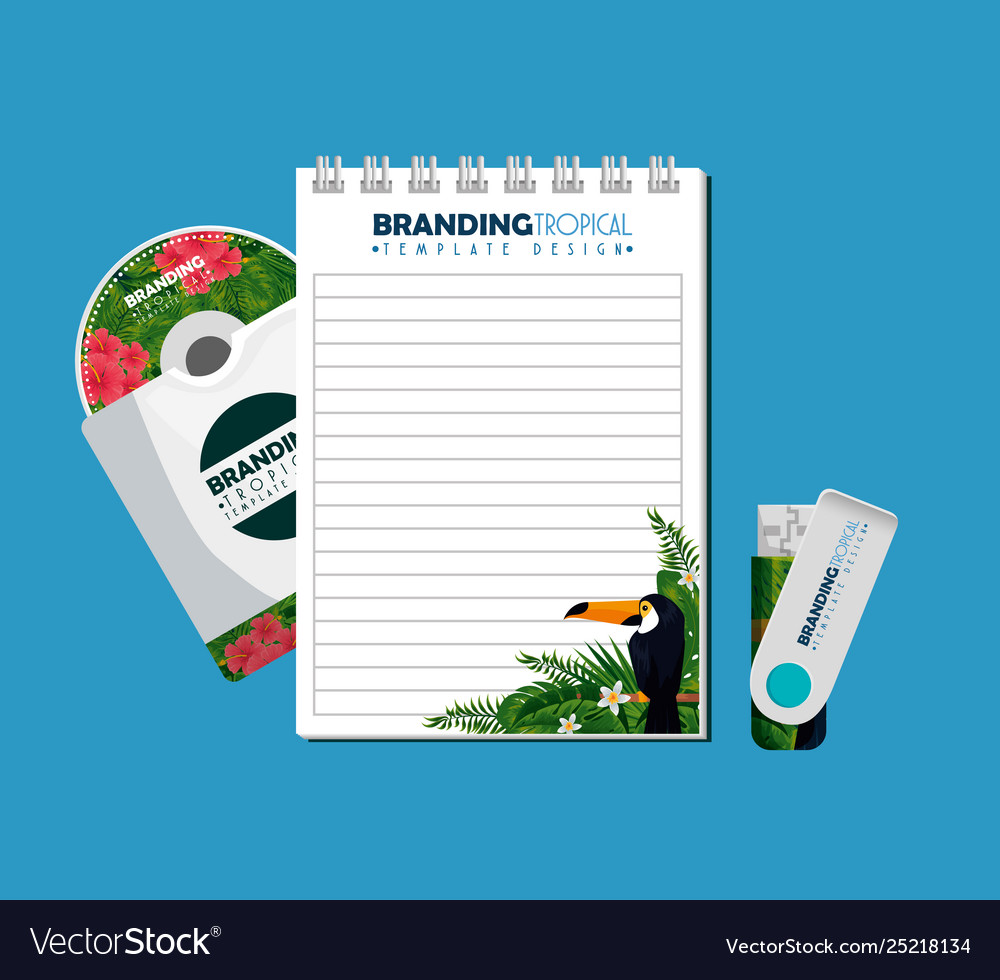 Notebook with usb memory and cd envelope Vector Image Notebook with usb memory and cd envelope