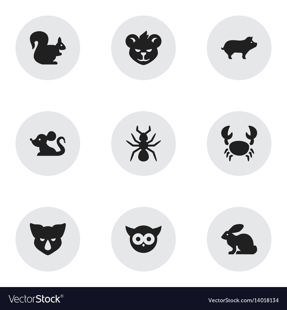 Set of 9 editable zoology icons includes symbols