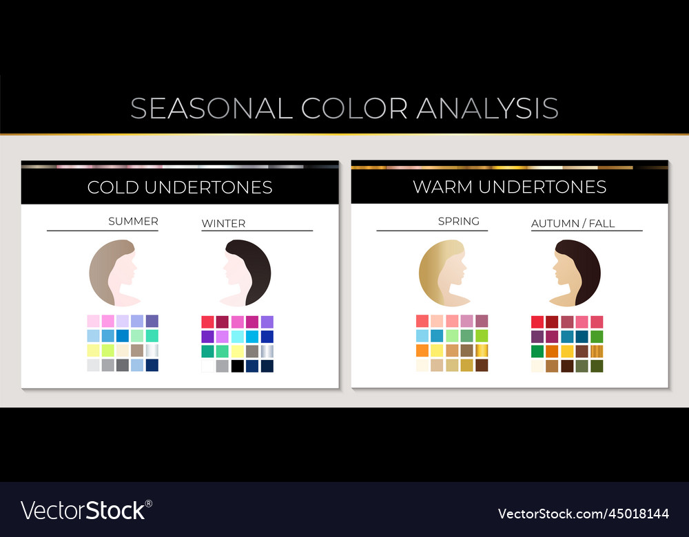 Elegant Seasonal Skin Color Analysis With Color Vector Image