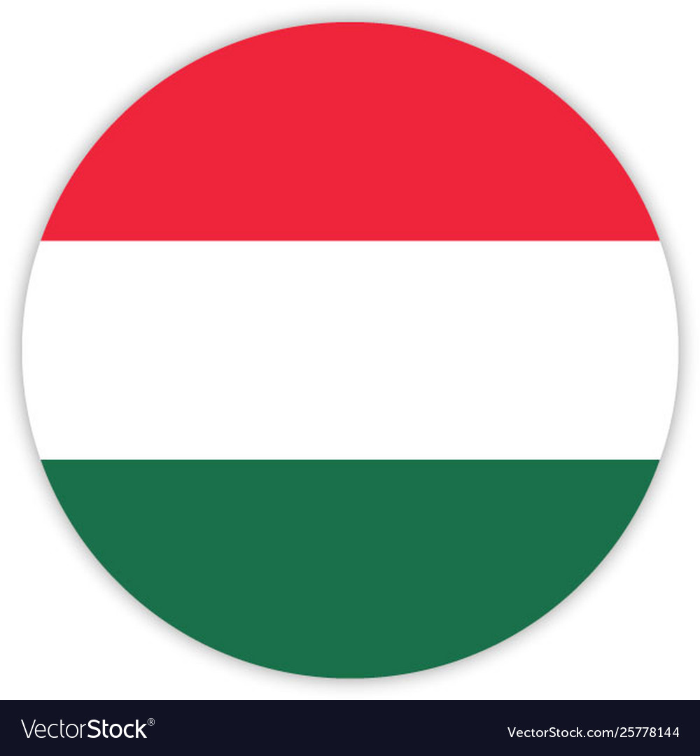 Simple round flag vector image Simple round flag