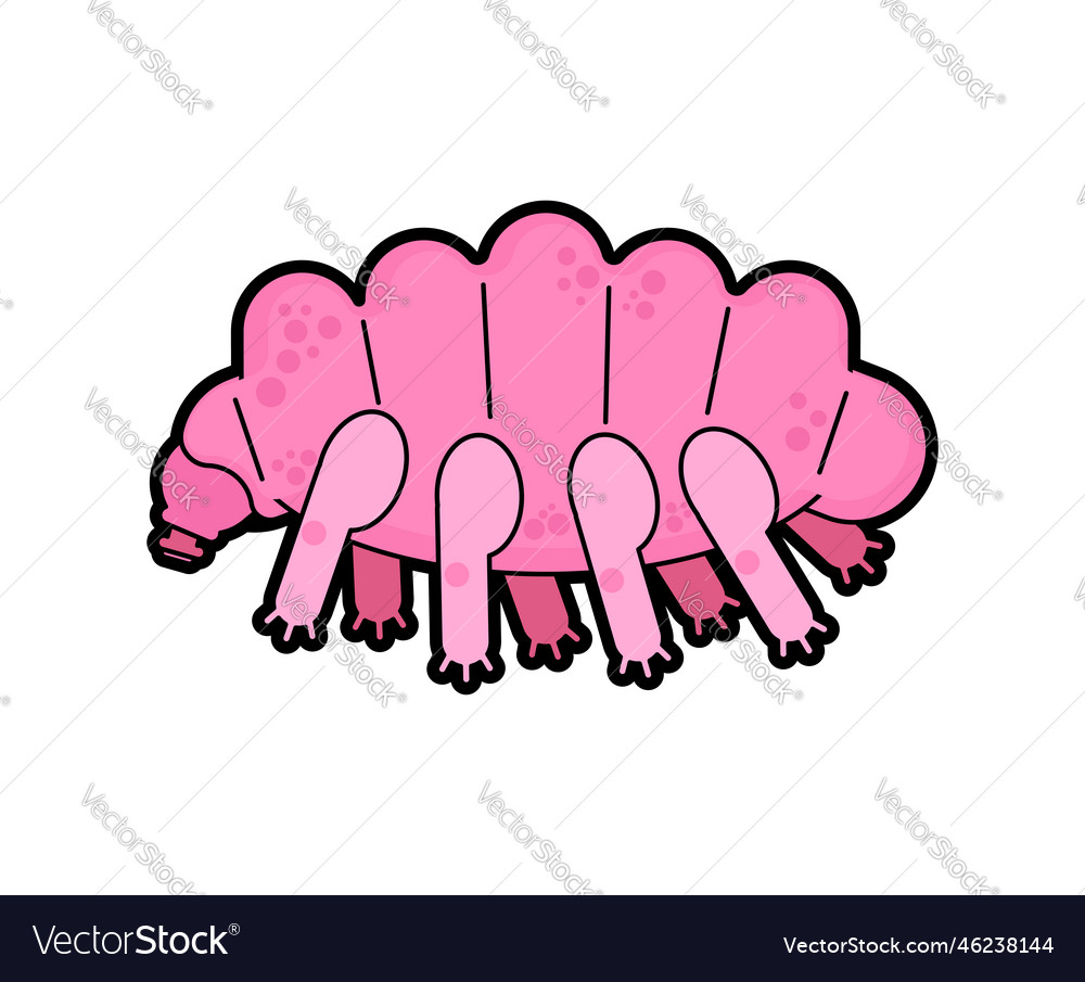 Tardigrada type of microscopic invertebrate Vector Image