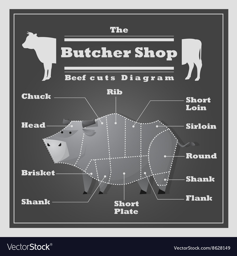 Beef cuts diagram Butcher shop background Vector Image