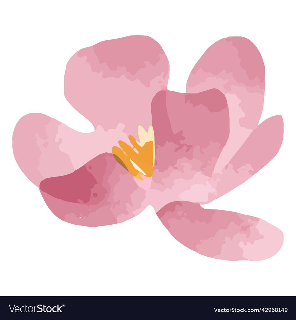 Watercolor pink bloom Royalty Free Vector Image