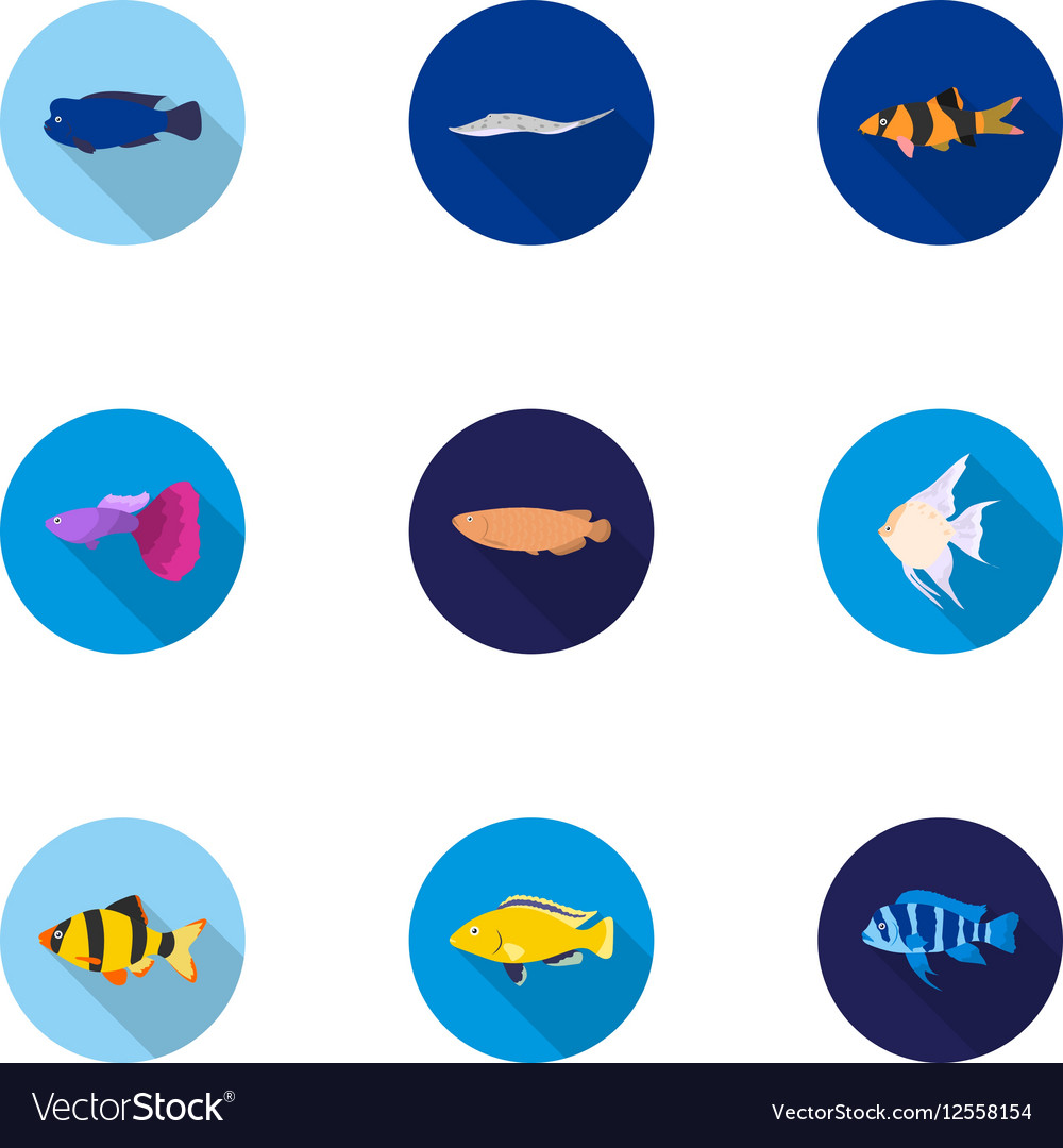 Aquarium fish set icons in flat style big