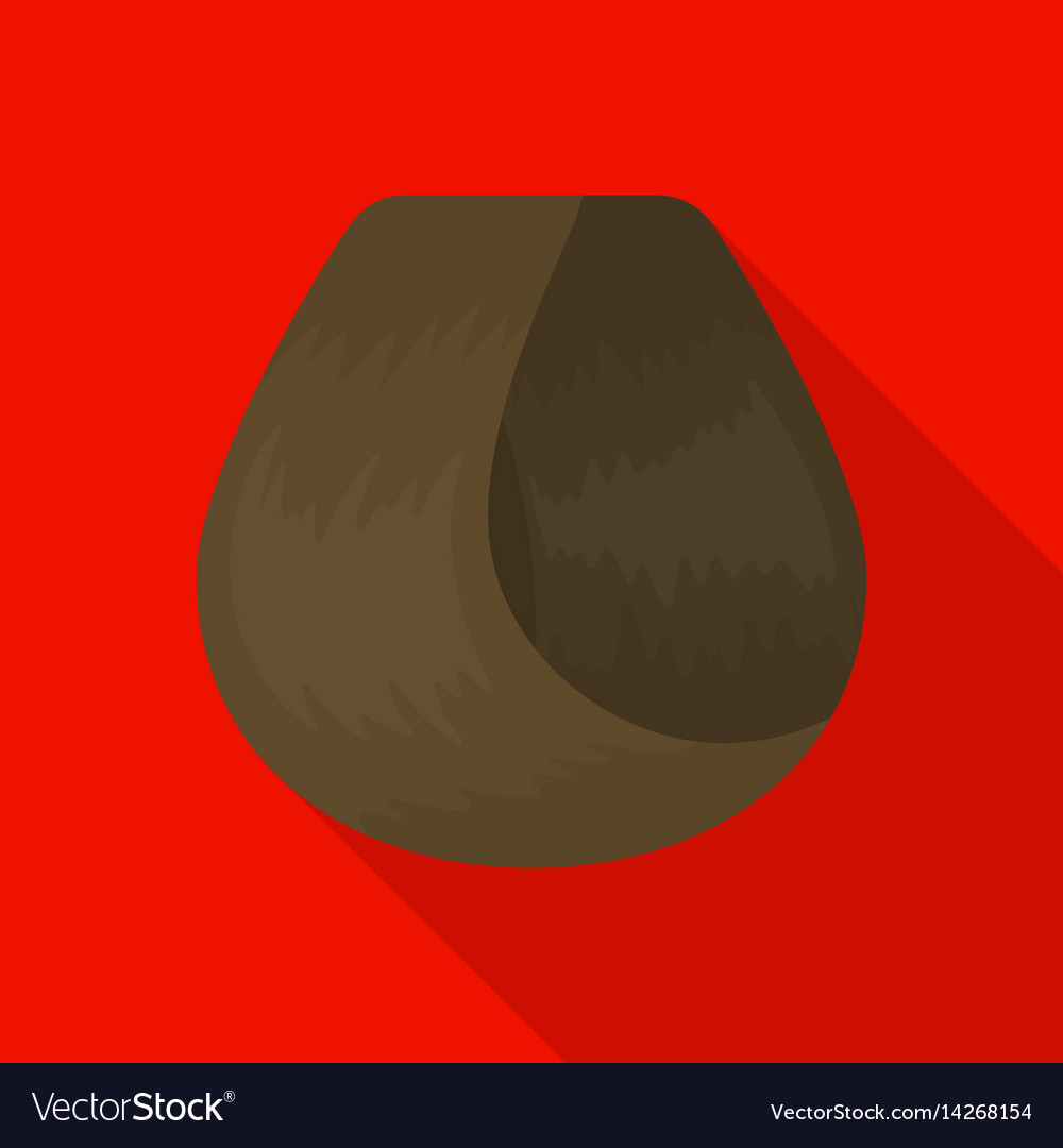 Hair Lock Icon In Flat Style Isolated On White Vector Image