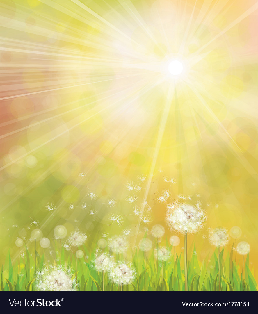 Spring Meadow with Dandelions