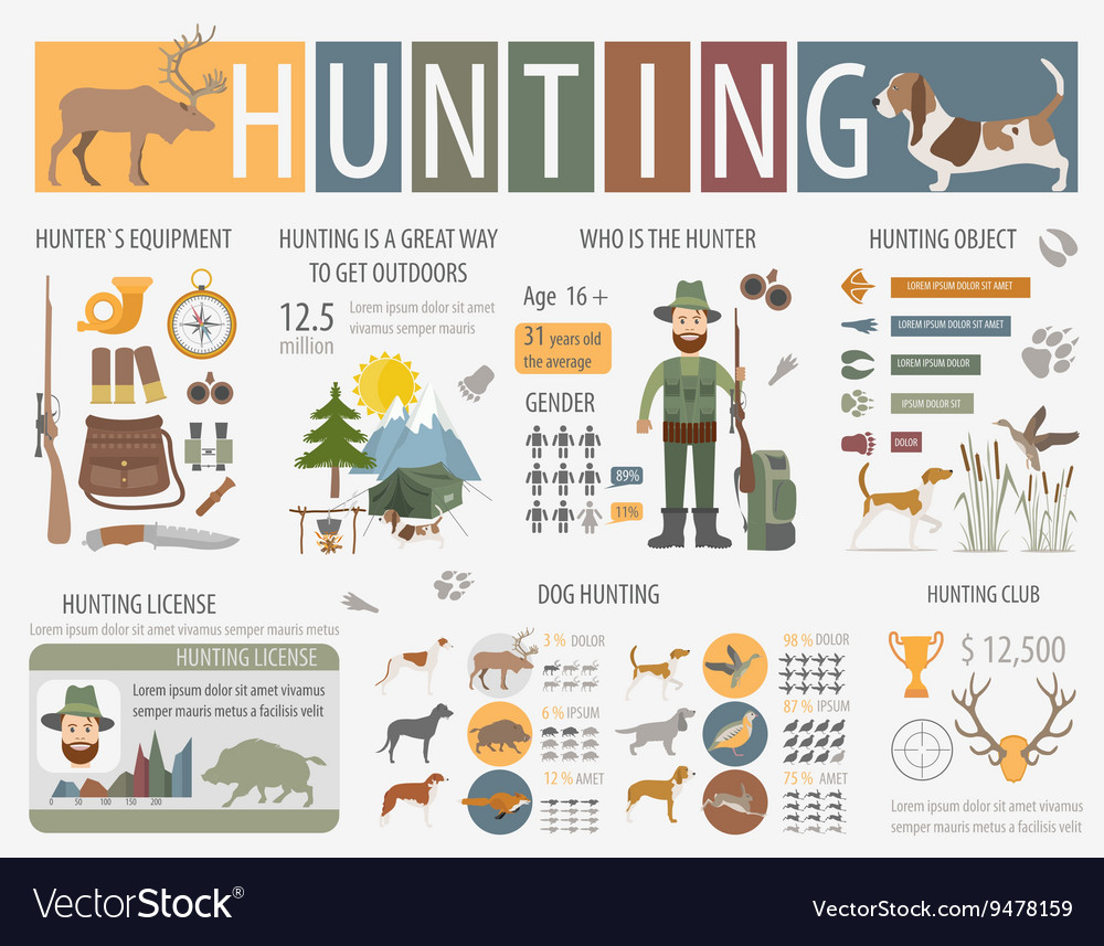 Hunting infographic template dog equipment