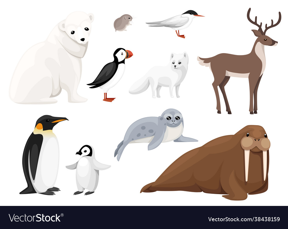 Set arctic animals icon birds and mammals Vector Image