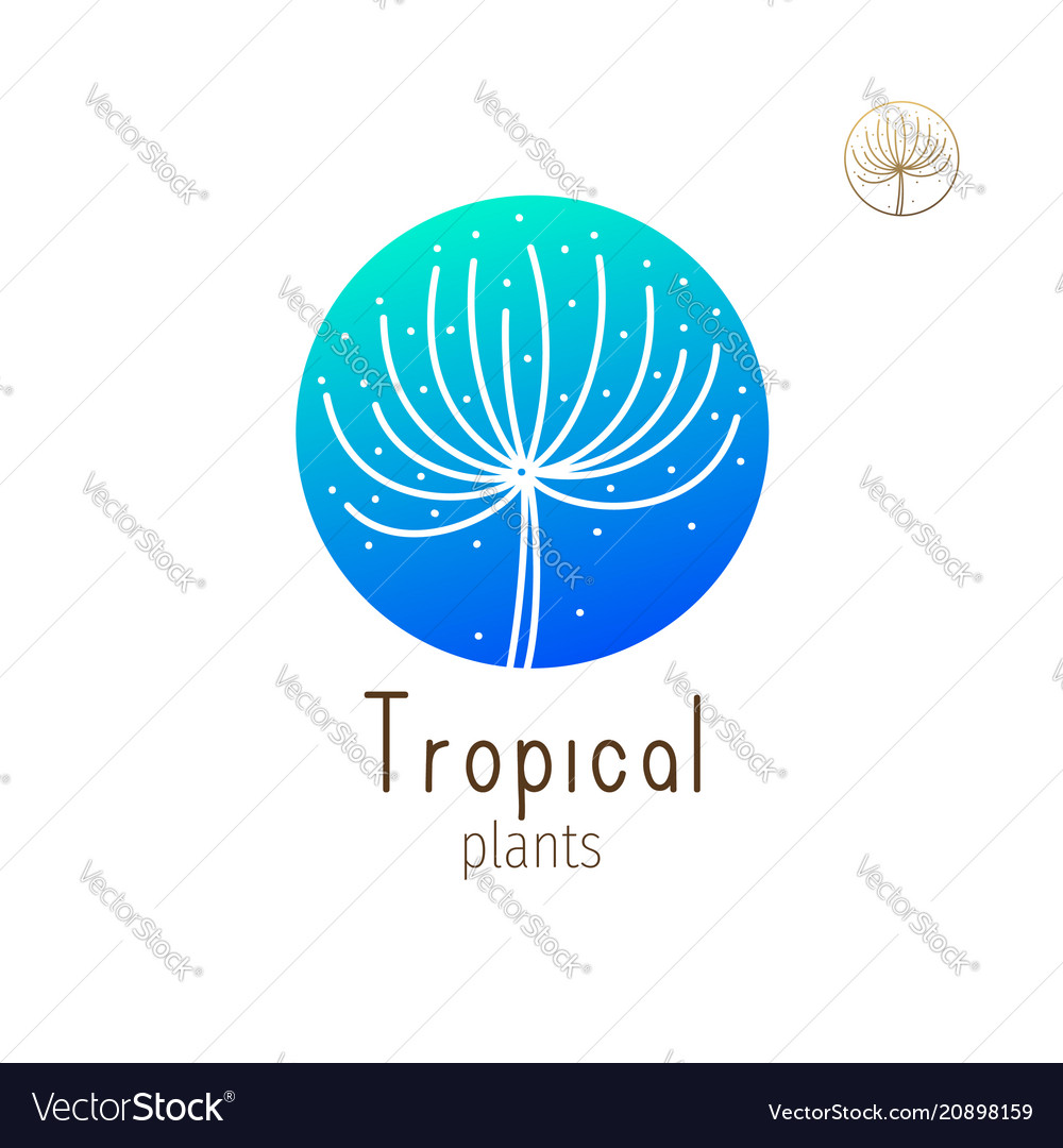 Tropical floral herb