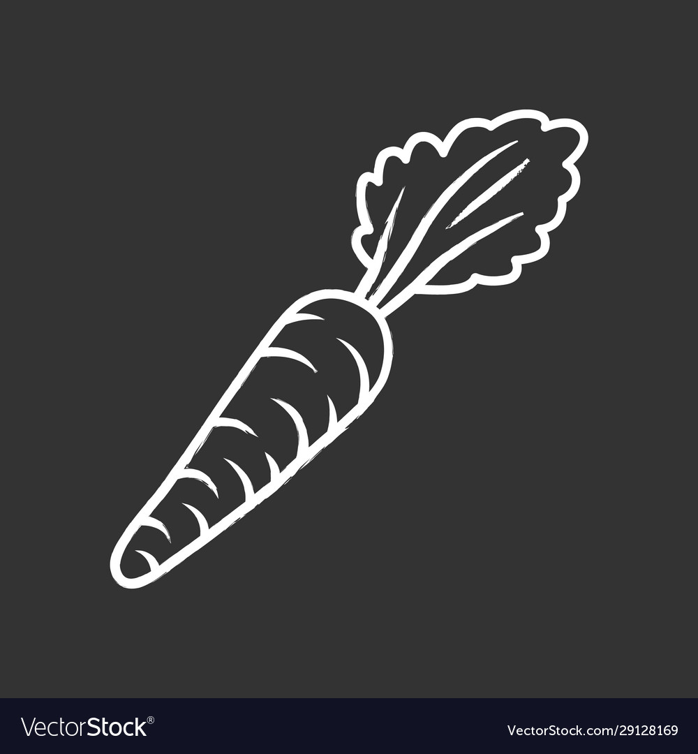 Carrot chalk icon vector image Carrot chalk icon