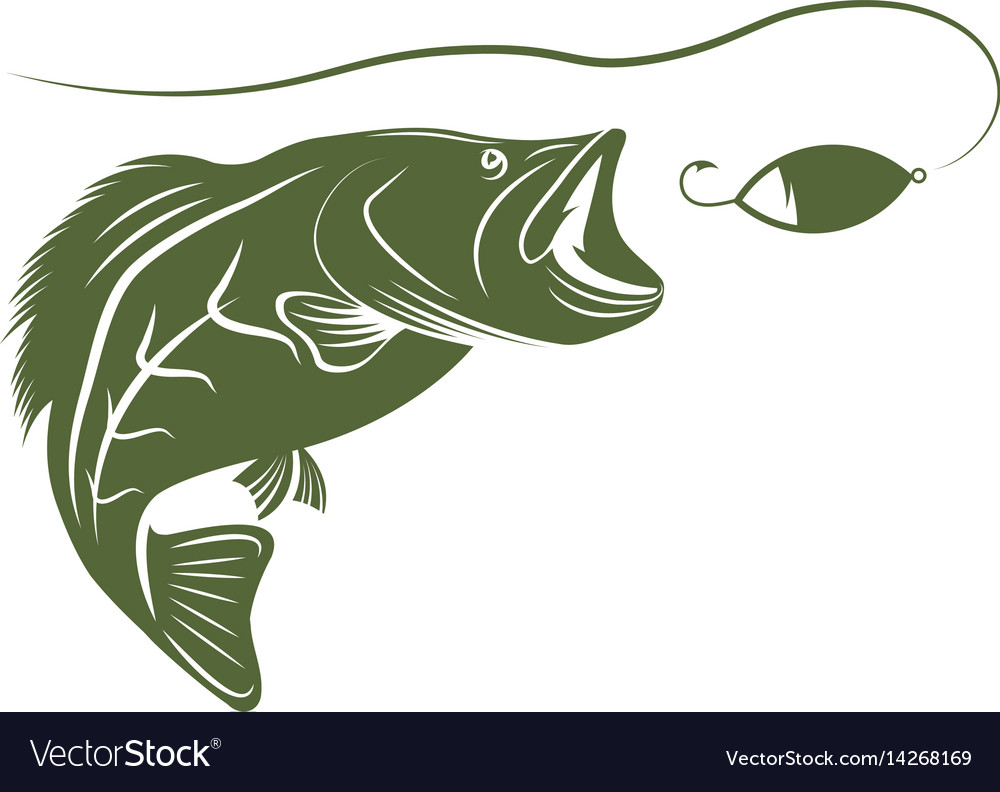 Premium Vector  Wild largemouth bass fishing poster design