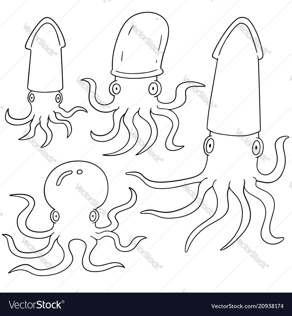 Set of squids