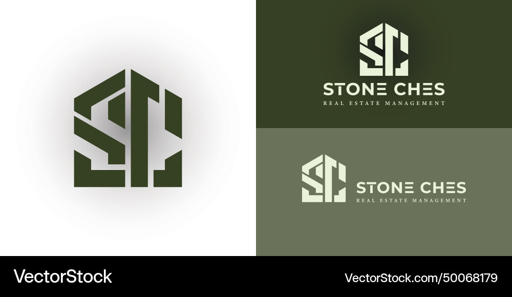 Abstract initial letter cs or sc house abstract Vector Image