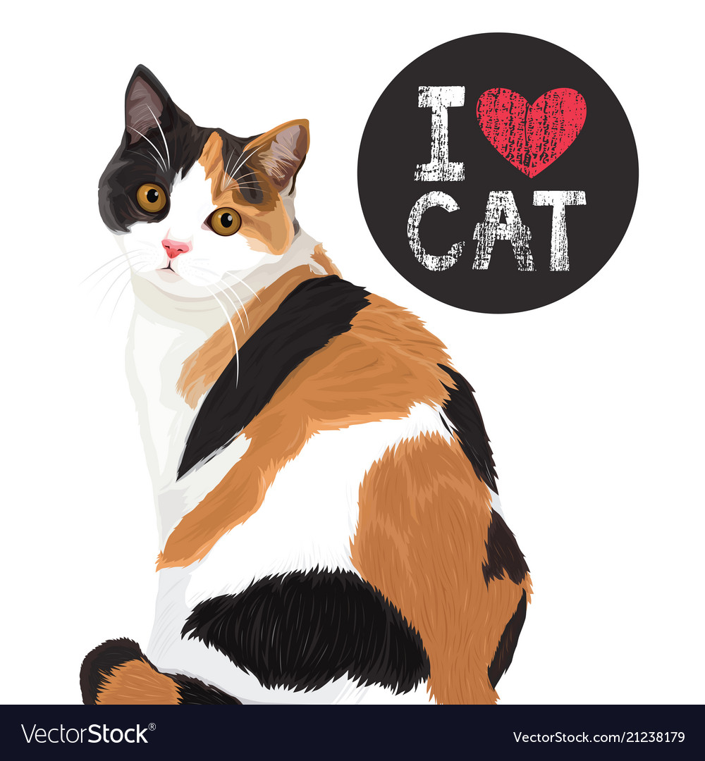 I love cute cat Royalty Free Vector Image - VectorStock