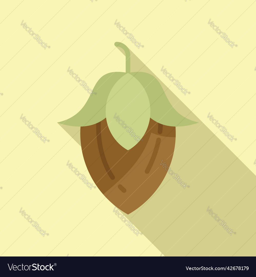 Organic jojoba icon flat plant seed Royalty Free Vector