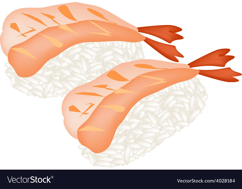 Ebi sushi or shrimp nigiri on white background