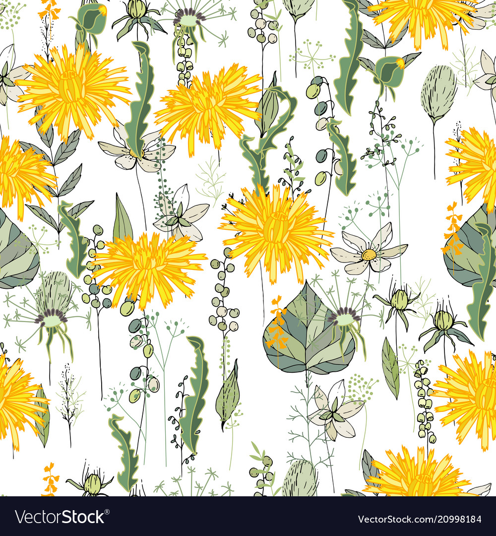 Seamless pattern with daffodils and herbs endless vector image Seamless pattern with daffodils and herbs endless