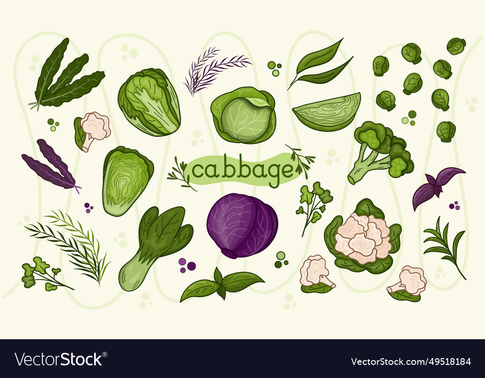 Set different cabbage design