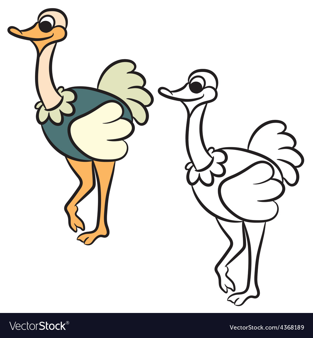 Ostrich Coloring Book Royalty Free Vector Image