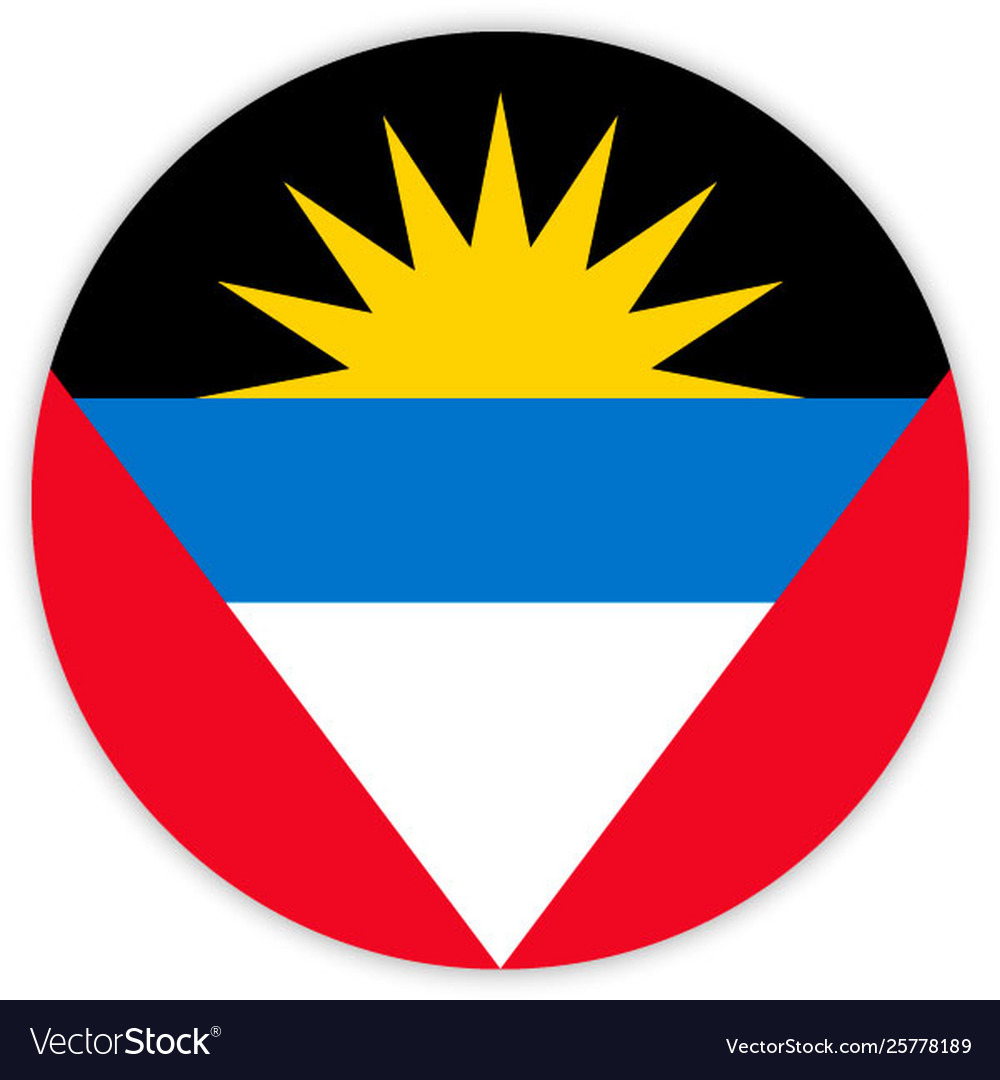Simple round flag vector image Simple round flag