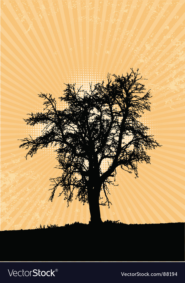Tree background