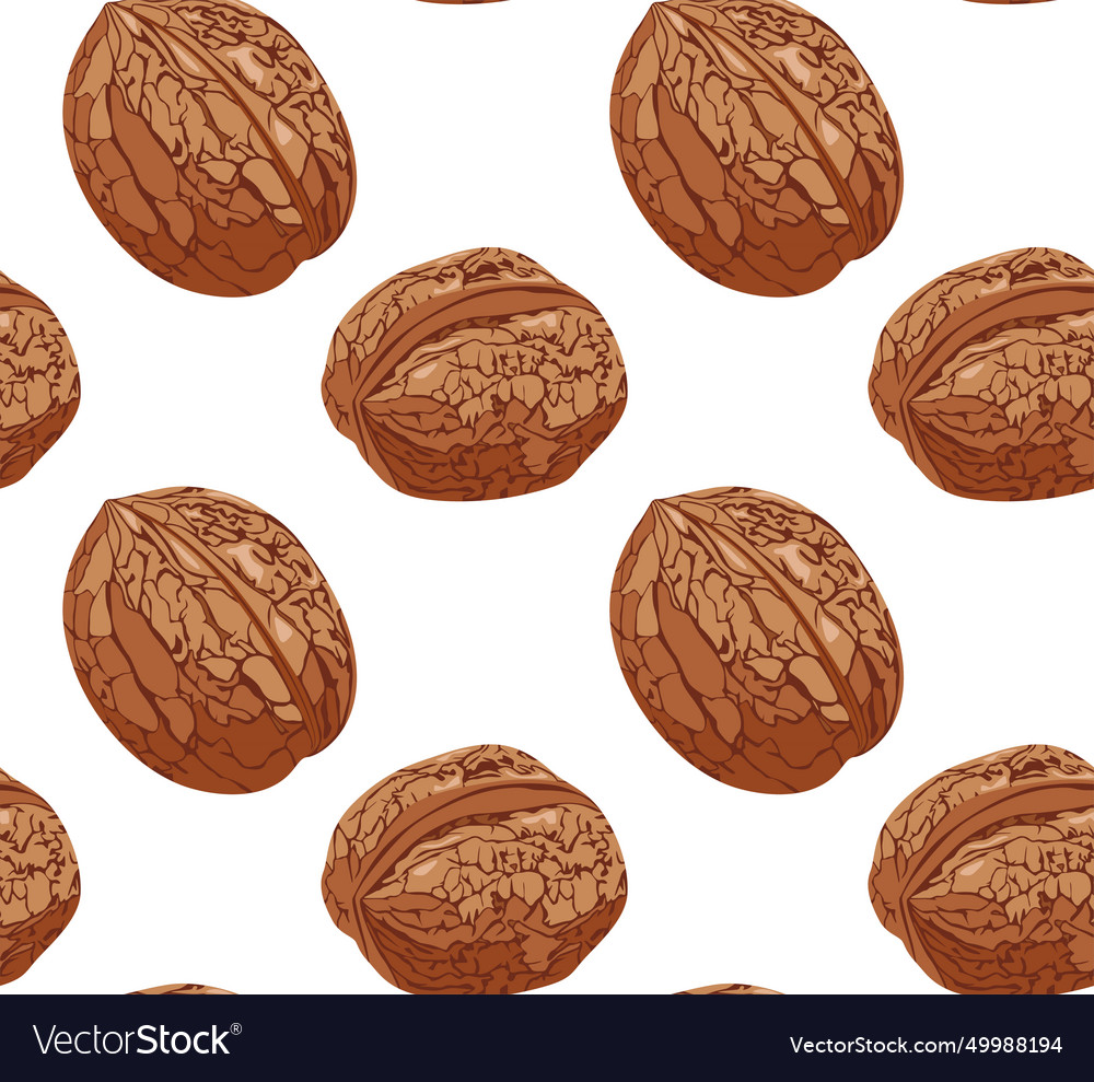 Walnuts in shell realistic image