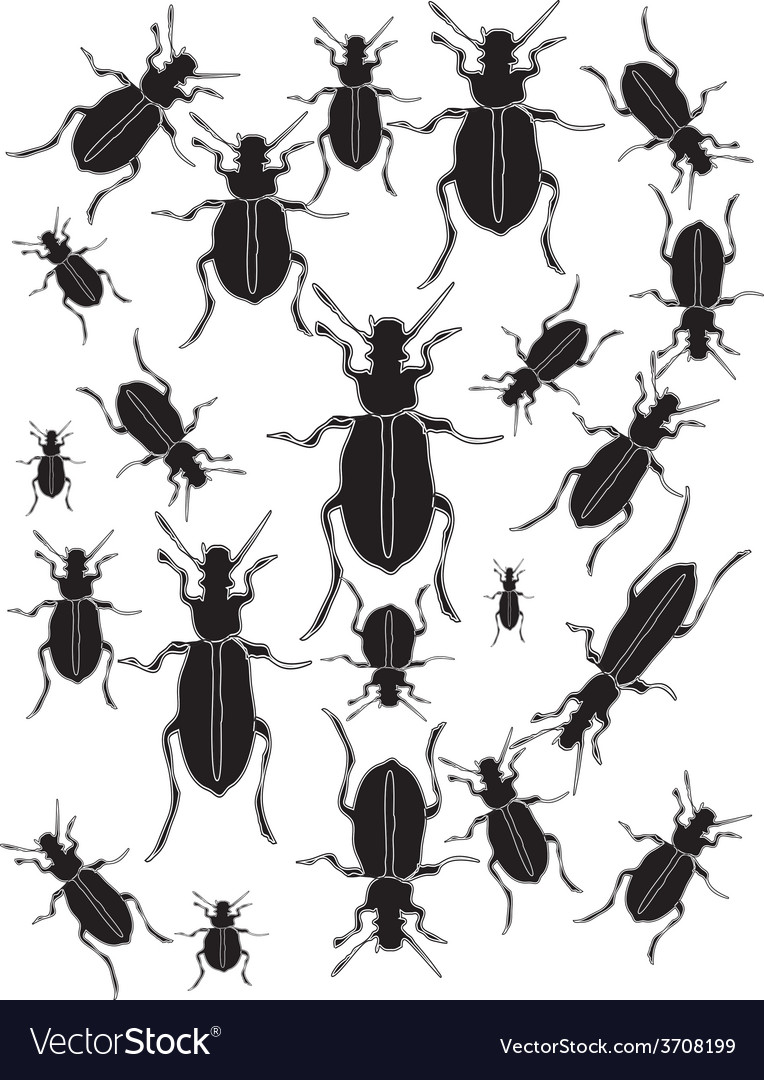 Set bugs silhouette