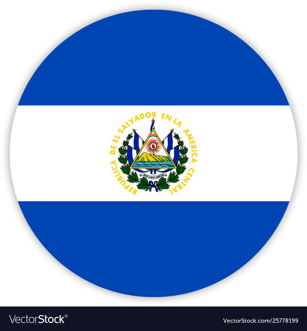 Simple round flag vector image Simple round flag