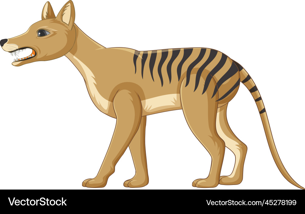 Tasmanian tiger extinct animal Royalty Free Vector Image