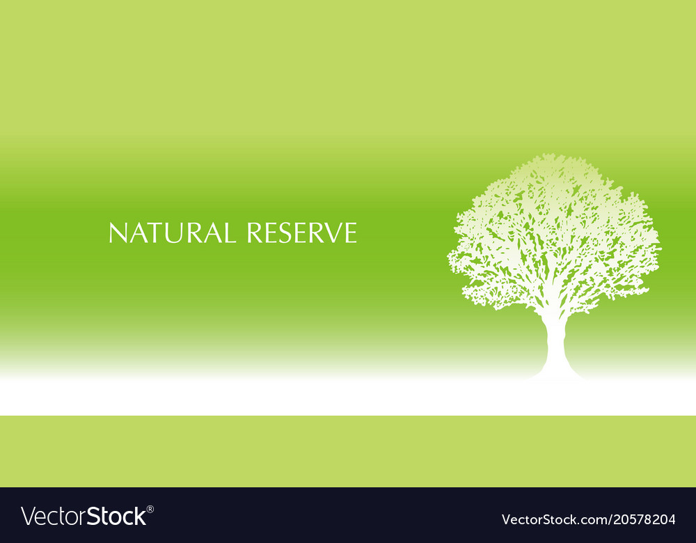 Fresh green tree background with text space